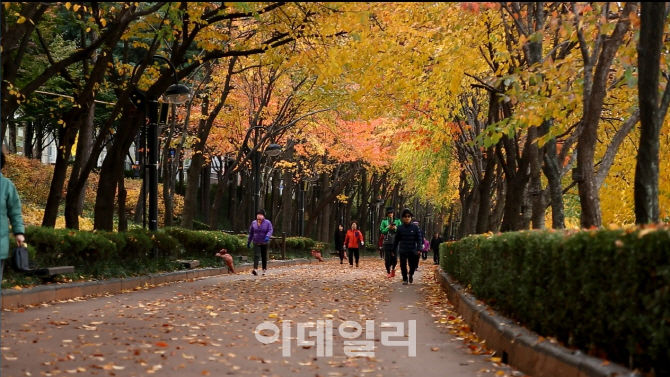 [동네방네]송파구, 4~6일 석촌호수 낙엽거리축제