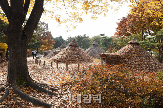 [포토]서울 단풍명소 암사동 선사유적지