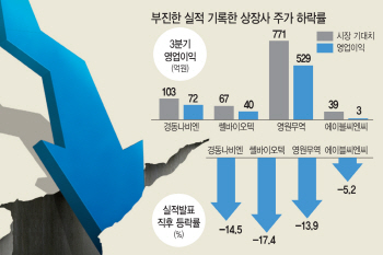 `부진하다 싶으면 투매까지`…확 커진 어닝쇼크 주의보