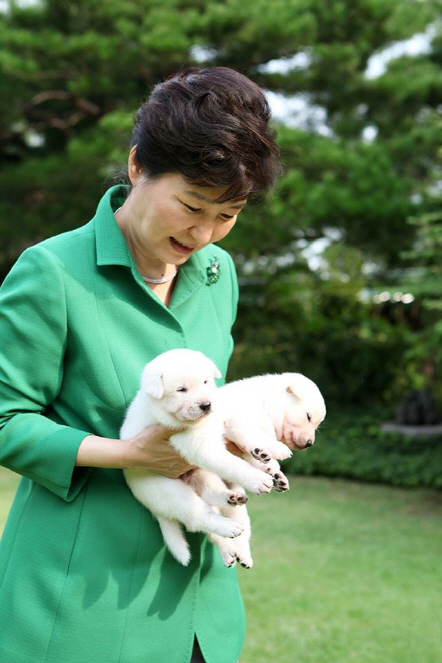 최순실 딸 추정 "대통령 본인 개도 관리못해"..모녀 `靑 프리패스` 의혹