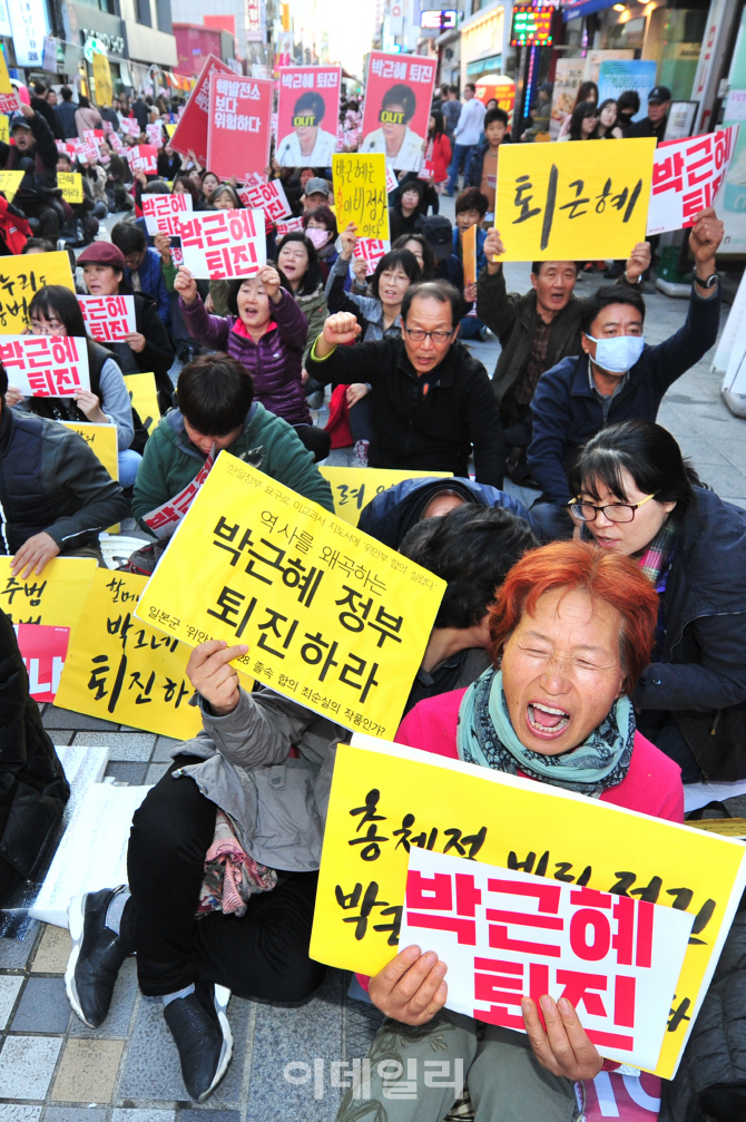 [포토]'박근혜 퇴진하라!'