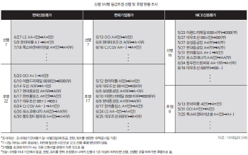 등급조정, NICE신평 빨랐고 한신평 느렸다