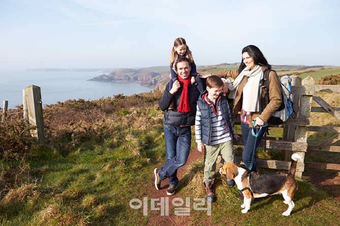 "펫팸족 절반 반려동물과 여행 포기해"