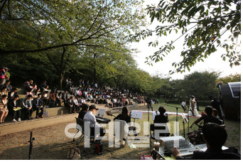 [동네방네]서대문구 "작은 결혼식 준비 알려드려요"