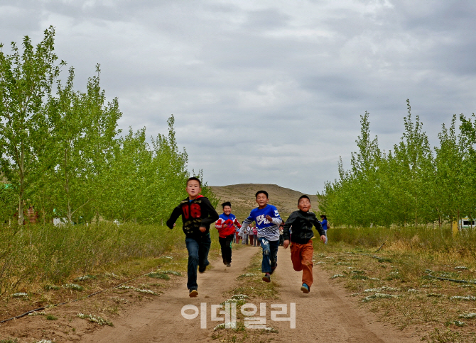 산림청, 10년간 몽골에 ‘녹색희망’ 심었다.. 축구장 3천개 면적 숲 조성