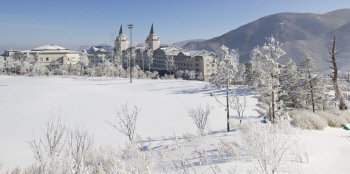 "열차 타고, 강원도 설경구경" …1박2일 연장 판매
