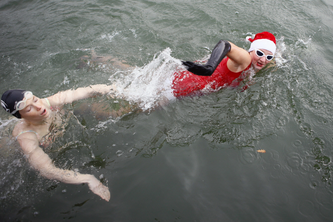  '크리스마스' 수영하는 산타                                                                                                                                                             
