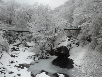 '지리산자연휴양림', 2017년도 첫번째 추천휴양림으로 선정