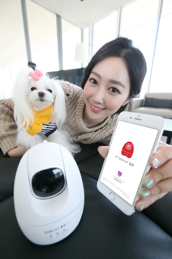 KT, 홈CCTV ‘GiGA IoT 홈캠2’ 출시