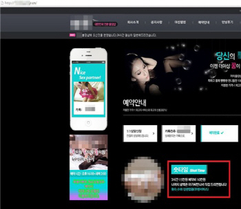 서울시 인터넷 시민감시단 지난해 성매매 광고 등 5.1만건 삭제