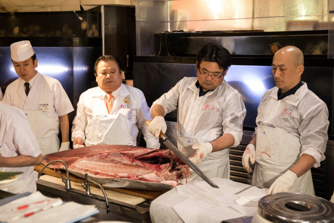  `7억6000만원` 참치, 무게 212kg..`나눠 먹어요`                                                                                                                                                    