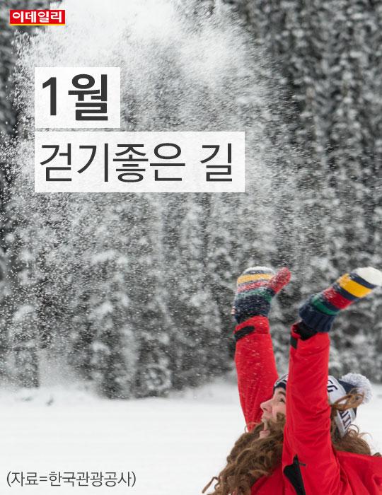 [카드뉴스] 1월, 멋진 풍경 감상하며 걸어보자