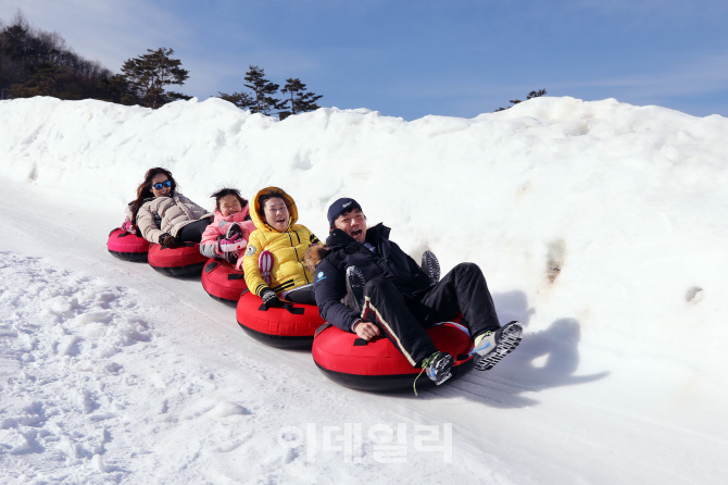 [포토] 평창 눈꽃마을에서 신나는 눈썰매