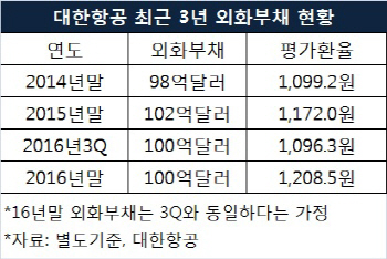 대한항공 증자 뒤에 숨은 `환율 그림자`