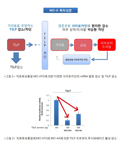 메디컬오, 피부염 치료 천연물 개발 및 의약 특허등록 완료