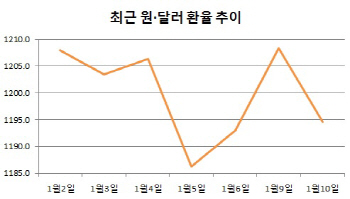 급등했다, 또 급락했다…새해 벽두 '롤러코스터 환율'