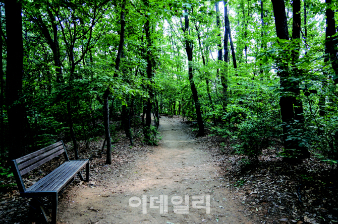 [포토] 서울 '전망 좋은곳, 테마산책길 40개소' - 대모산 숲길