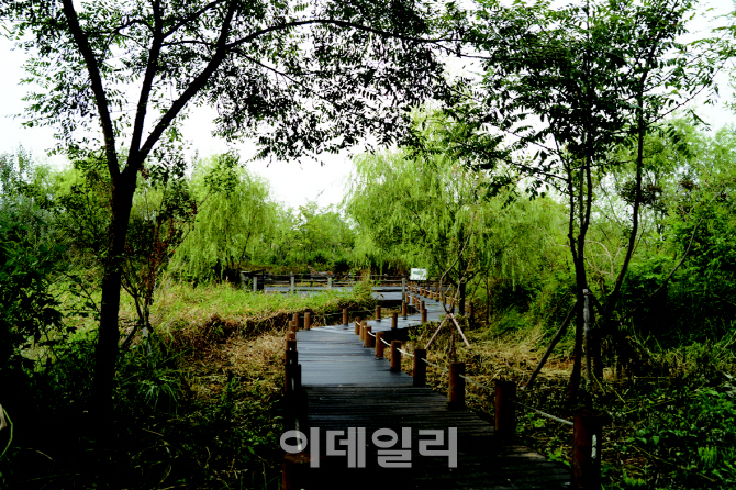 [포토] 서울 '전망 좋은곳, 테마산책길 40개소' - 노을공원나들길 반딧불이서식지