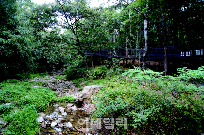 [포토] 서울 '전망 좋은곳, 테마산책길 40개소' - 수락벽운계곡길 계곡과 자락길