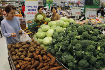 [포토]이마트 "제주산 각종 채소 저렴하게 구입하세요"