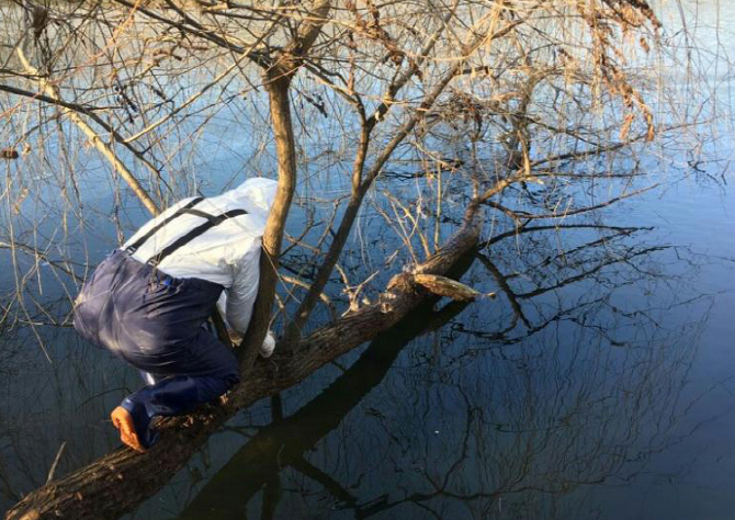 서울시, 강서·난지·암사 등 철새도래지 방역 강화