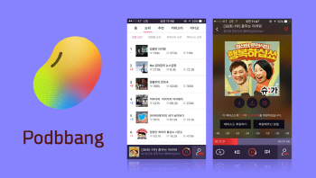 `귀하신 몸` 오디오콘텐츠..구글·네이버 등 관심↑