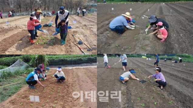 서울시, 내달 1일부터 친환경 농장 분양