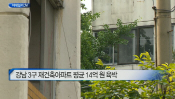  강남 3구 재건축아파트 평균 14억 원 육박 外