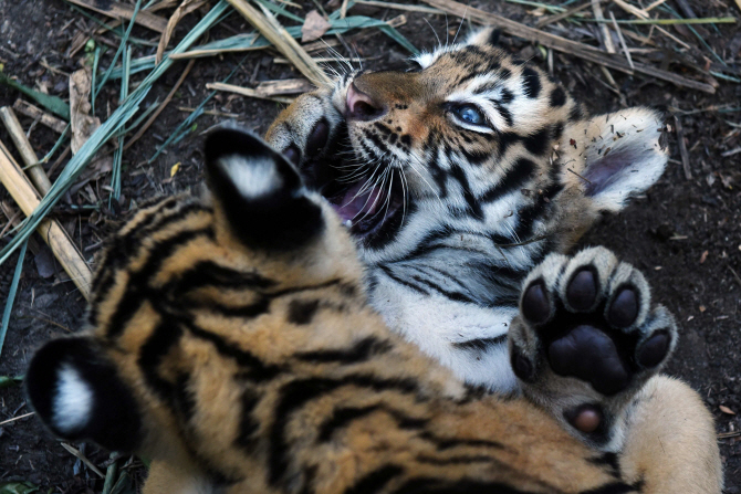  `얼굴에 상처날 뻔 했어..장난이 심하잖아!`                                                                                                                                                        
