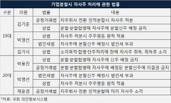 [경제법안 톺아보기]③바른정당 손에 달린 ‘인적분할 마법’