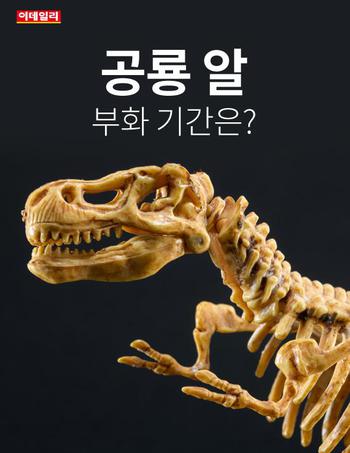  공룡 알, 부화 기간은?