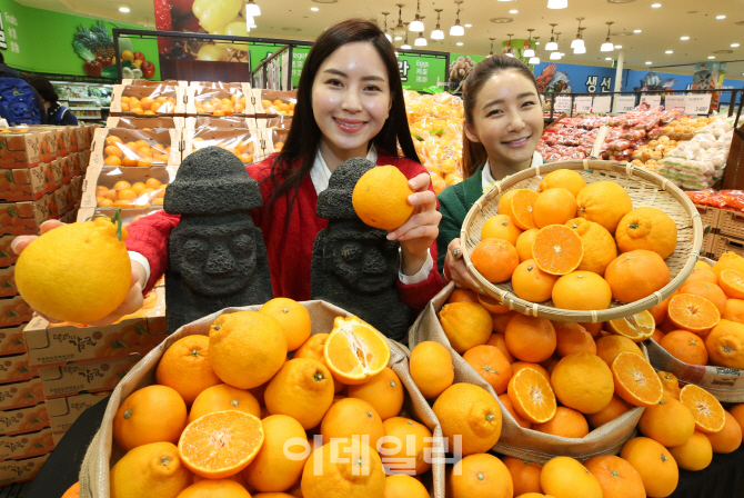 [포토]롯데마트, 겨울철 대표 만감류 3종 선보여