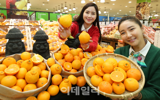 [포토]롯데마트, 겨울철 대표 만감류 3종 만나보세요!