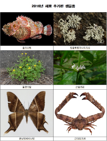 국내 자생생물은?…동·식물 총 4만 7003종