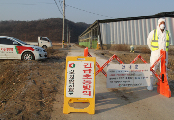 전국 우제류 농장 간 가축 이동금지 해제…구제역 확산될까 `긴장`