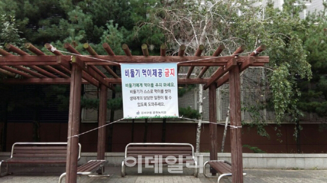 [동네방네]강서구, 봄철 앞두고 생태계 교란 동·식물 관리