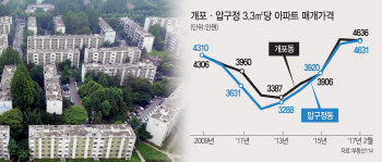 '재건축의 힘'..개포동, 압구정·반포 제치고 부촌1번지 '우뚝'