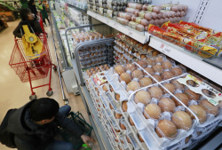 `계란값 또?`…美 수입 금지로 계란 가격 22일만에 상승세