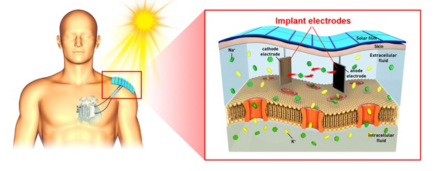 국내 연구팀, 혈액으로 충전하는 생체 이식형 전지 개발