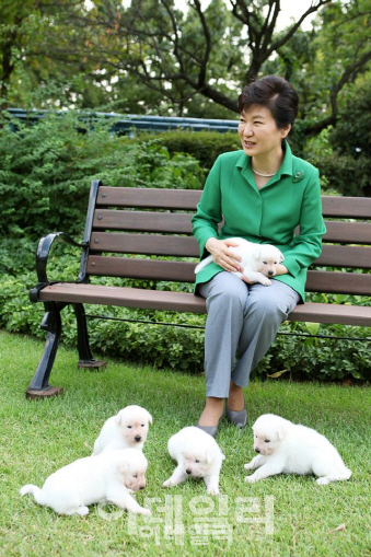 반려동물 학대 벌금 1천만원, 유기 과태료 3백만원...처벌 세진다