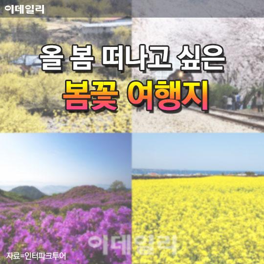 [카드뉴스] 올 봄 떠나고 싶은 봄꽃 여행지 추천