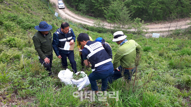 4~5월 임산물 불법 채취 및 무허가 입산자 집중 단속