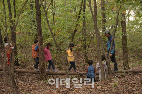 자연에서 자라나는 우리 아이...중랑구 숲 유치원 ‘인기’