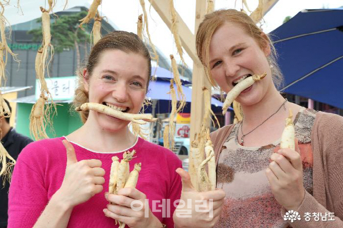 위기의 한국 인삼…충남도, 인삼산업 부흥 나선다