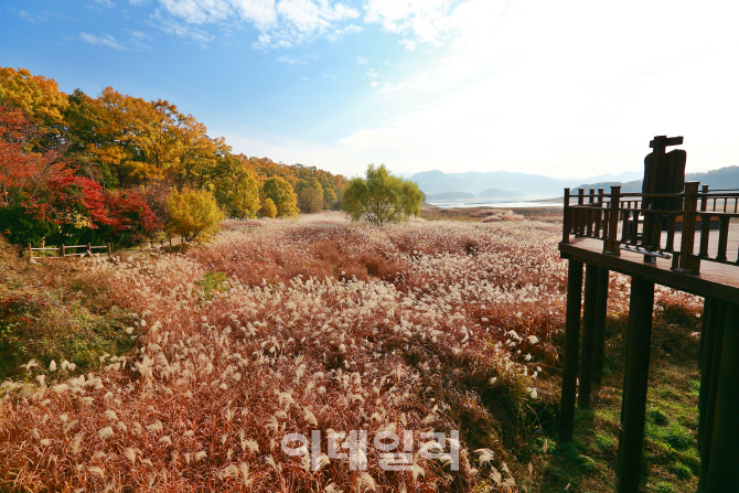 '생태자원+이야기' 생태테마관광 15곳 선정