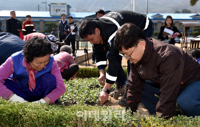 "산촌 마을을 꽃동산, 꿈동산으로 가꿔요"