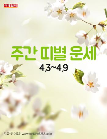  주간 띠별 운세(4.3~4.9)