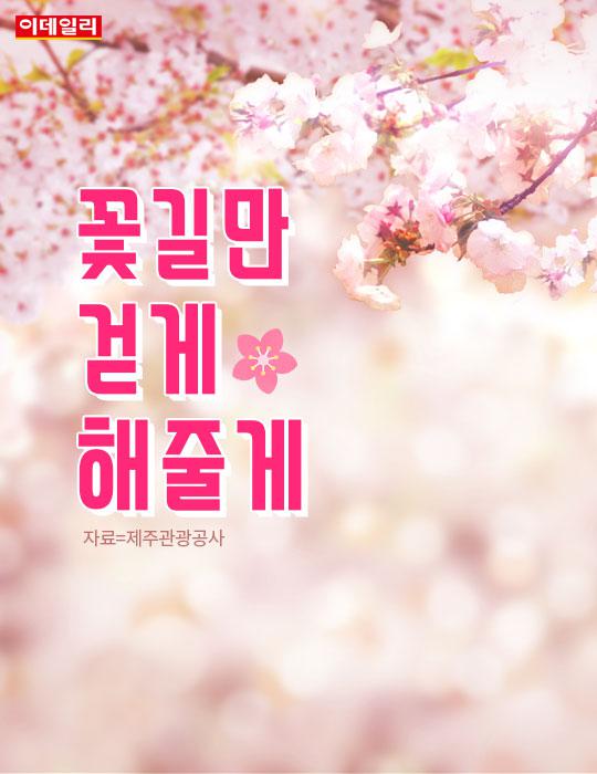 [카드뉴스] 4월의 제주.. '꽃길만 걷게 해줄게'
