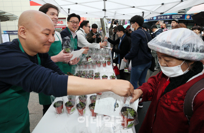 [포토]식목일 맞아 '독도 대표식물 섬기린초 나눔'