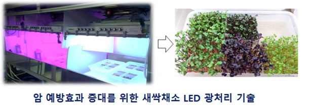 KIST, 국내 기업과 손잡고 '기능성 채소 재배기' 공동 출자회사 설립